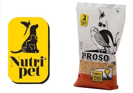 PetPlace