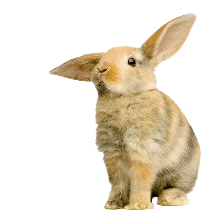 PetPlace