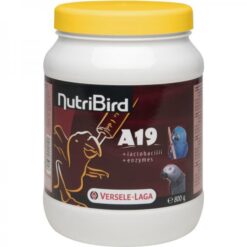 NutriBird A19 3kg – Kompletna hrana za ručno hranjenje makaa, žakoa, eklektusa i drugih velikih papagaja, formulisana za optimalan rast, zdrav razvoj i jačanje imunog sistema mladih ptica.