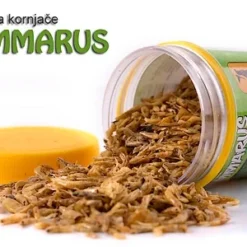 HRANA ZA KORNJACE GAMARIJUS 50ML NUTRIPET