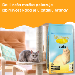 Willowy Gold Cat 10kg – Kompletna hrana za odrasle izbirljive mačke
