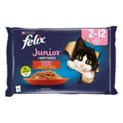 Felix Le Ghiottenerie Junior sa govedinom i piletinom u želeu 4x85g