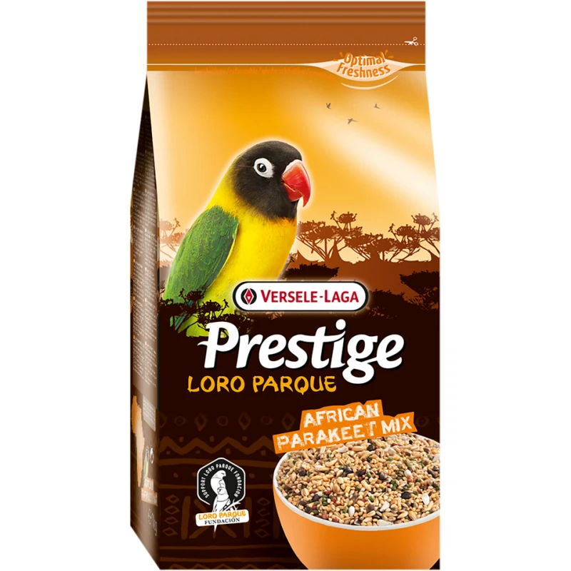 Prestige Premium African Parakeet Loro Parque